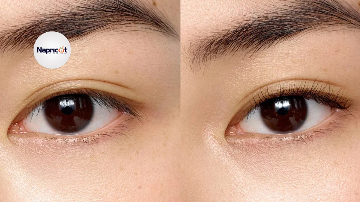 How to Fix and Tighten Your Eyelash Curler