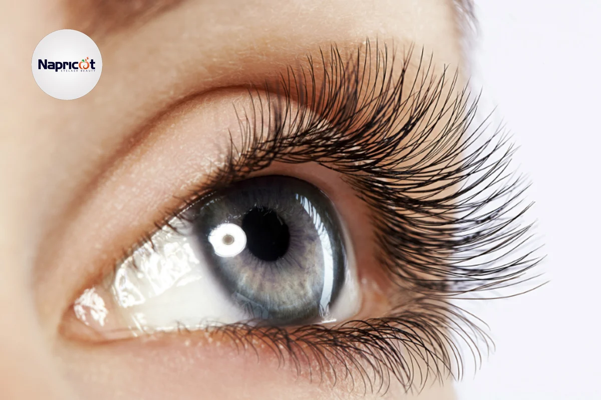 How to Grow Eyelashes at Home Safely: Timeline, Oils & Latisse