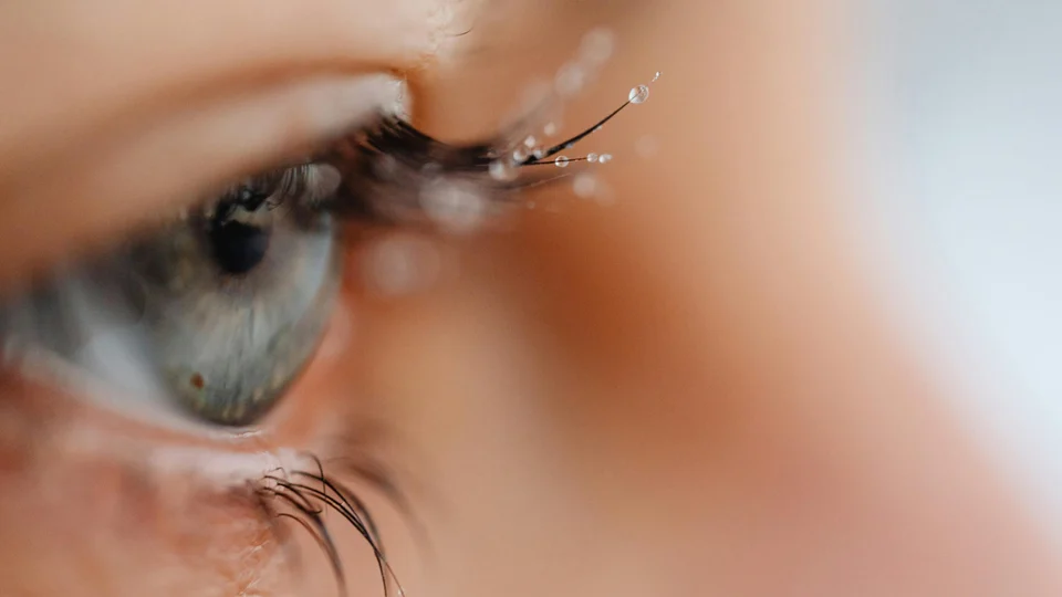 You can condition your lashes with serum or a light oil to keep them healthy