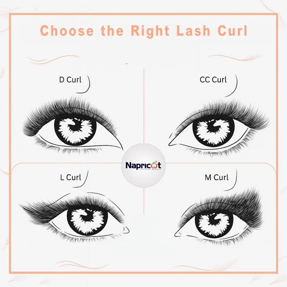 Choose the Right Lash Curl