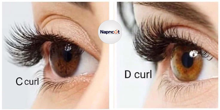 d vs c curl lashes