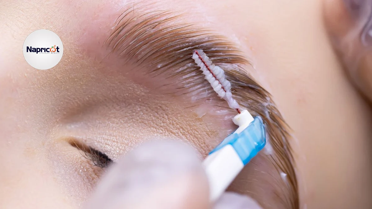 Can I tint my eyebrows after lamination?