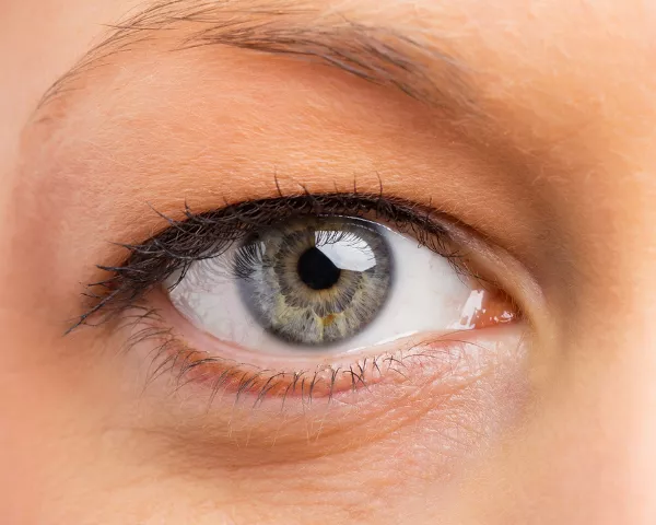 how many types of eyes are there