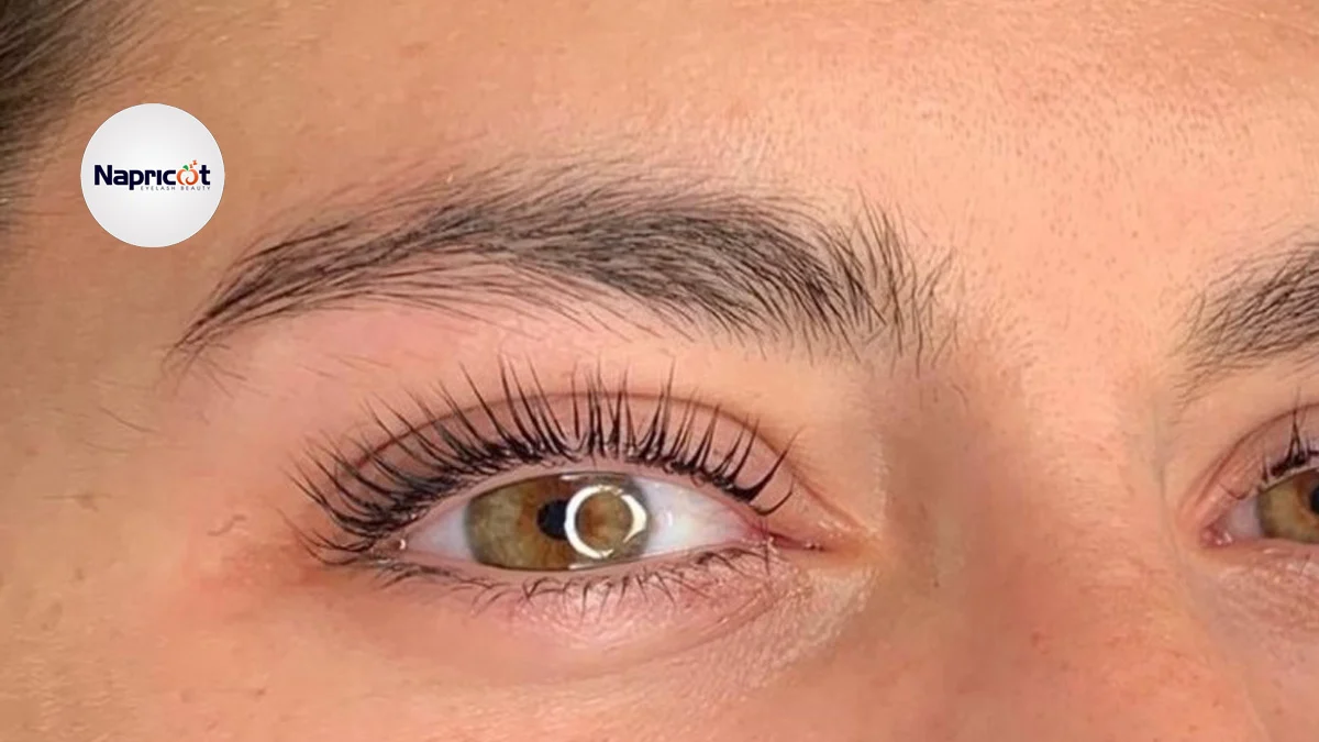 How Long Do Eyelashes Take to Grow Back After Extensions?